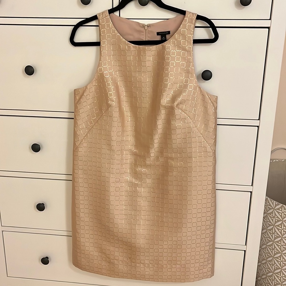 ANN TAYLOR Blush/Champagne Dress w/ Gold Threaded Pattern